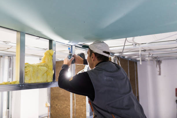 Best Attic Insulation Installation  in Cambridge, OH